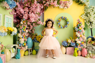 Nori Tutu Dress High Low Style More Colors