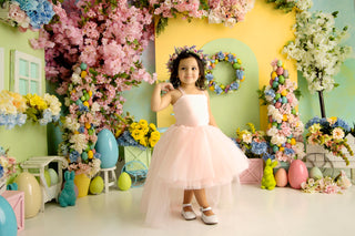 Nori Tutu Dress High Low Style More Colors