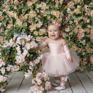 READY TO SHIP BLUSH Nova Off the Shoulder Tutu Dress