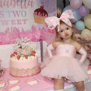 READY TO SHIP BLUSH Nova Off the Shoulder Tutu Dress