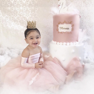 READY TO SHIP BLUSH Nova Off the Shoulder Tutu Dress