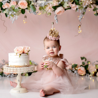 Carrie Rose Gold Blush Birthday Belle Tutu Sparkle Romper