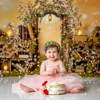 Nori Tutu Dress