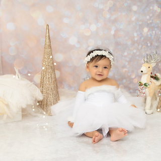 Winter Wonderland Nova Tutu Dress