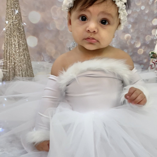 Winter Wonderland Nova Tutu Dress