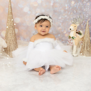 Winter Wonderland Nova Tutu Dress