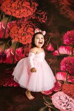 Load image into Gallery viewer, Exclusive Belle Threads Tutu Dress Nova Dress MORE COLORS
