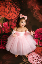 Load image into Gallery viewer, Exclusive Belle Threads Tutu Dress Nova Dress MORE COLORS
