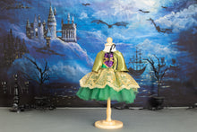 Load image into Gallery viewer, Green Witch Tutu Romper and Cape Costume
