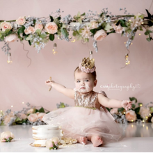 Load image into Gallery viewer, Carrie Rose Gold Blush Birthday Belle Tutu Sparkle Romper
