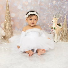 Load image into Gallery viewer, Winter Wonderland Nova Tutu Dress
