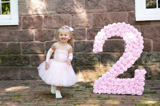 READY TO SHIP BLUSH Nova Off the Shoulder Tutu Dress