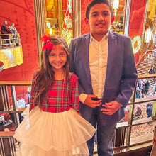 Load image into Gallery viewer, Christmas Plaid Tutu Dress
