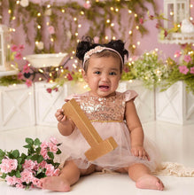 Load image into Gallery viewer, Carrie Rose Gold Blush Birthday Belle Tutu Sparkle Romper
