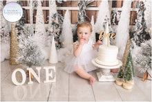 Load image into Gallery viewer, Winter Snow Queen Tutu Romper
